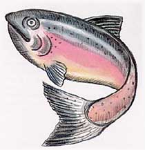 06.jpg (16297 bytes)